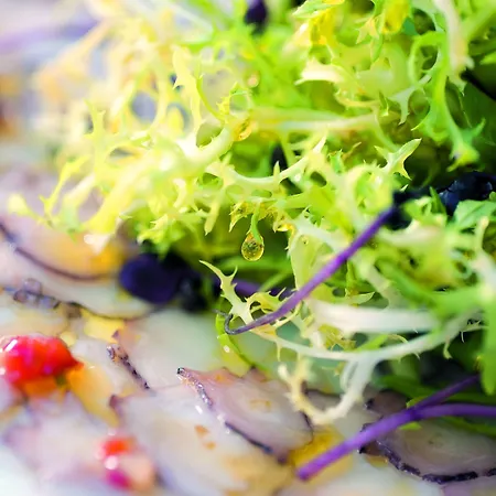 As Cascatas Golf & Vilamoura